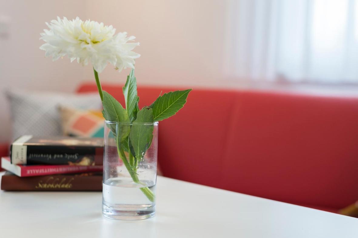 Hofmann'S Apartements & Ferienwohnungen Oberdachstetten ภายนอก รูปภาพ