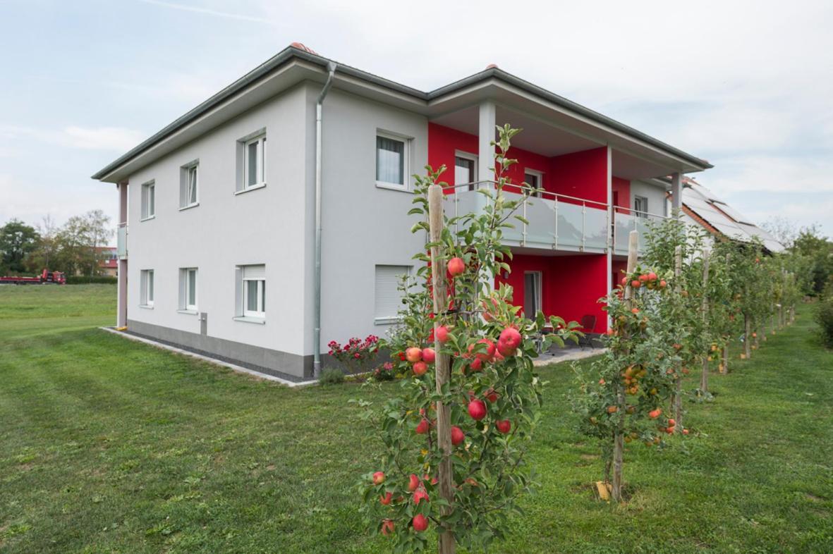 Hofmann'S Apartements & Ferienwohnungen Oberdachstetten ภายนอก รูปภาพ